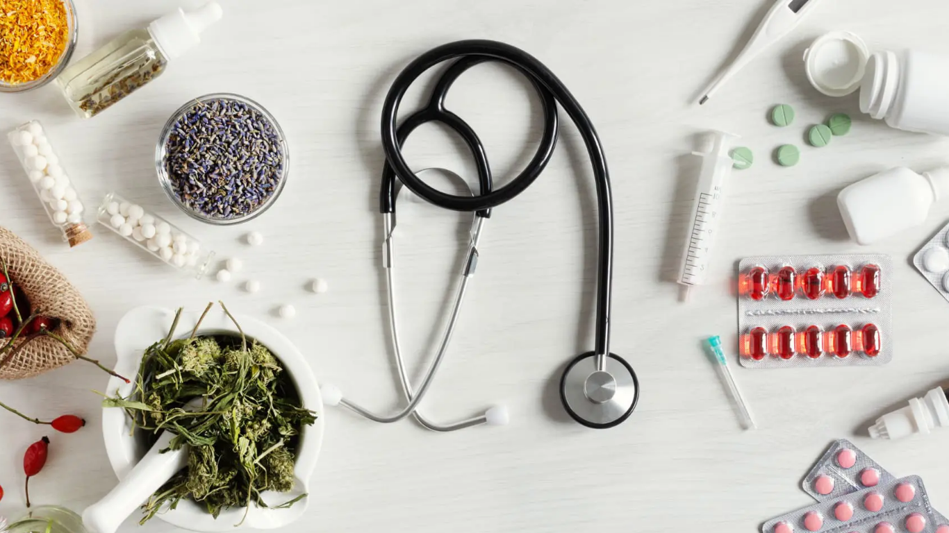 Herbal Medicine in Modern Healthcare